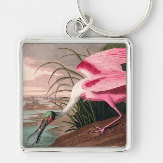 Roseate Spoonbill Audubon Bird Wildlife Sleutelhanger (Voorkant)