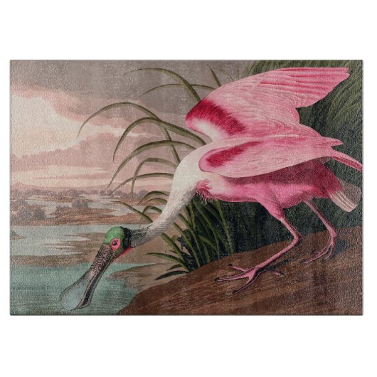 Roseate Spoonbill Audubon Bird Wildlife Snijplank (Voorkant)