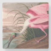 Roseate Spoonbill Audubon Bird Wildlife Stenen Onderzetter (Voorkant)