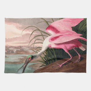 Roseate Spoonbill Audubon Bird Wildlife Theedoek