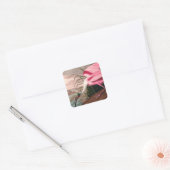 Roseate Spoonbill Audubon Bird Wildlife Vierkante Sticker (Envelop)
