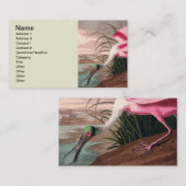 Roseate Spoonbill Audubon Bird Wildlife Visitekaartje (Voorkant / Achterkant)