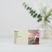Roseate Spoonbill Audubon Bird Wildlife Visitekaartje (Staand voorkant)