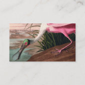 Roseate Spoonbill Audubon Bird Wildlife Visitekaartje (Achterkant)