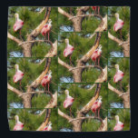 Roseate Spoonbill - Bandana - Tld<br><div class="desc">Roseate Spoonbill - Bandana - Tld</div>