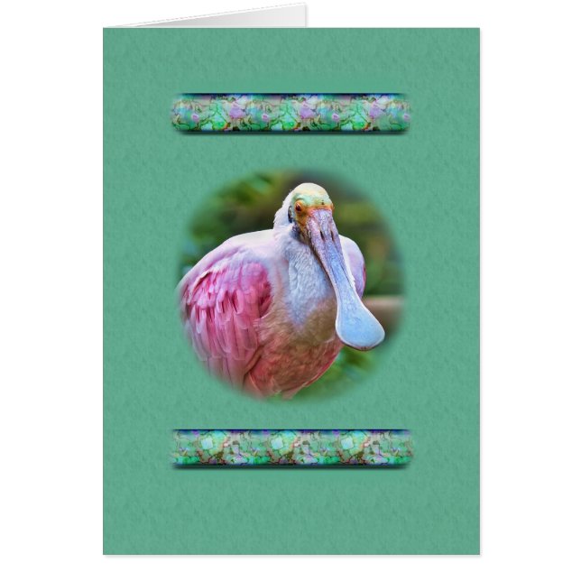 Roseate Spoonbill Bird Card (Voorkant)