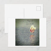 Roseate Spoonbill Bird Photo Briefkaart (Voorkant / Achterkant)