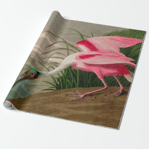 Roseate Spoonbill Birds of America Audubon Print Cadeaupapier
