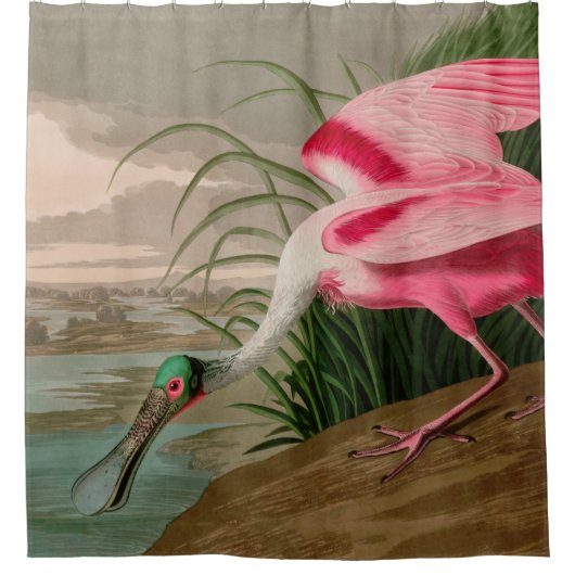 Roseate Spoonbill Birds of America Audubon Print Douchegordijn (Voorkant)