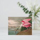 Roseate Spoonbill Birds of America Audubon Print Feestdagenkaart (Staand voorkant)