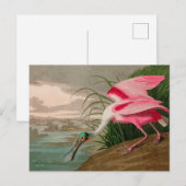Roseate Spoonbill Birds of America Audubon Print Feestdagenkaart (Voorkant / Achterkant)