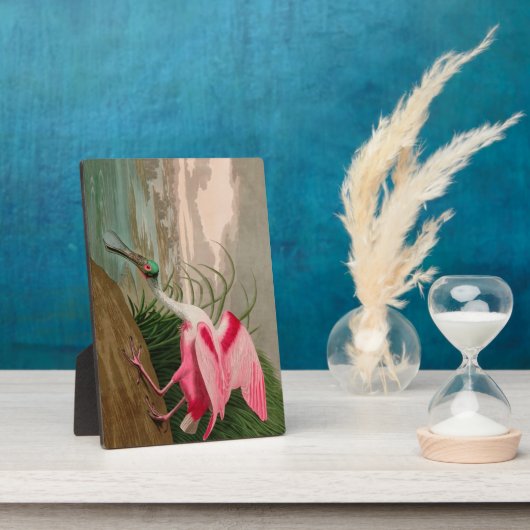 Roseate Spoonbill Birds of America Audubon Print Fotoplaat (Zijkant)