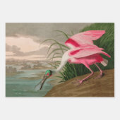Roseate Spoonbill Birds of America Audubon Print Inpakpapier Vel (Voorkant 2)