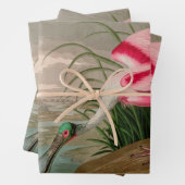 Roseate Spoonbill Birds of America Audubon Print Inpakpapier Vel (In situ)