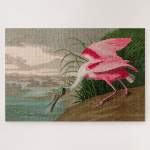 Roseate Spoonbill Birds of America Audubon Print Legpuzzel