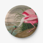 Roseate Spoonbill Birds of America Audubon Print Papieren Bordje (Voorkant)