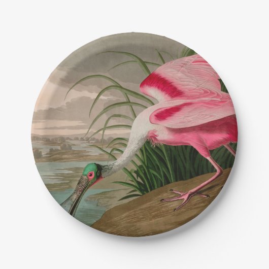Roseate Spoonbill Birds of America Audubon Print Papieren Bordje (Voorkant)