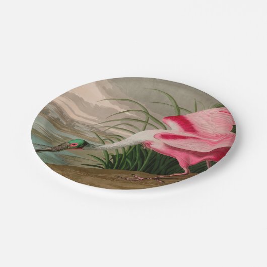 Roseate Spoonbill Birds of America Audubon Print Papieren Bordje (Gekanteld)