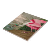 Roseate Spoonbill Birds of America Audubon Print Tegeltje (Zijkant)