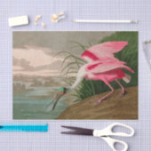 Roseate Spoonbill Birds of America Audubon Print Tissuepapier (Craft)