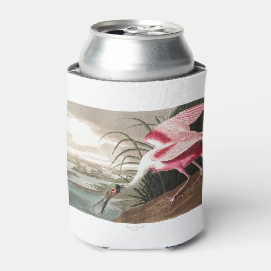 Roseate Spoonbill  Blikjeskoeler (Blikje Voorkant)