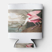 Roseate Spoonbill  Blikjeskoeler (Voorkant)