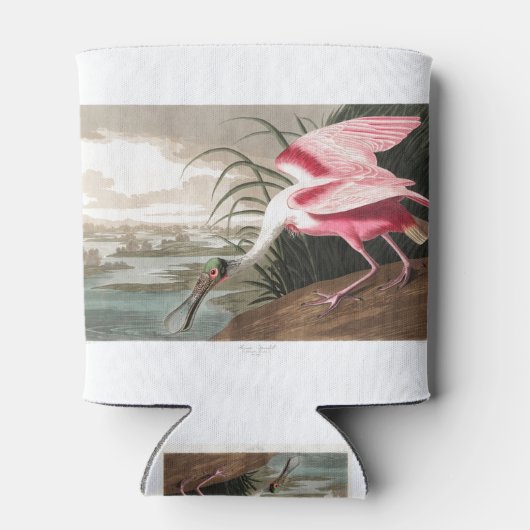 Roseate Spoonbill  Blikjeskoeler (Achterkant)