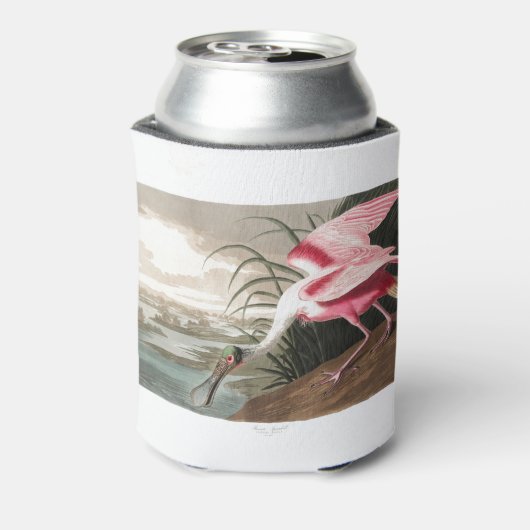 Roseate Spoonbill  Blikjeskoeler (Blikje Achterkant)