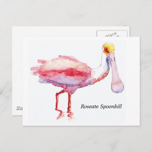 Roseate Spoonbill briefkaart (Voorkant / Achterkant)