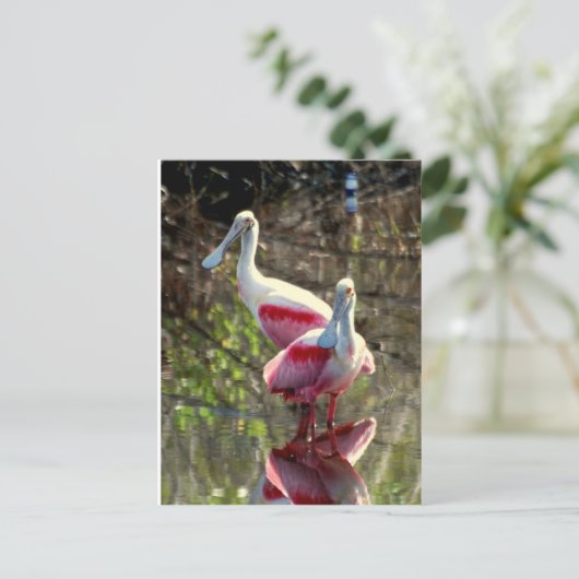 Roseate Spoonbill Briefkaart (Staand voorkant)