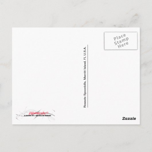 Roseate Spoonbill Briefkaart (Achterkant)