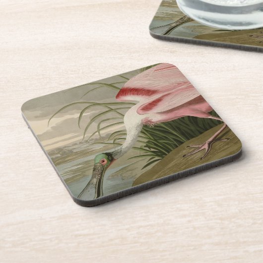 Roseate Spoonbill Drankjes Onderzetter (Linkerzijde)