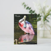Roseate Spoonbill in Florida Briefkaart (Staand voorkant)