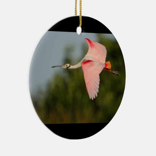 Roseate Spoonbill in vlucht Keramisch Ornament (Rechts)