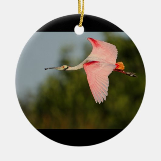 Roseate Spoonbill in vlucht Keramisch Ornament (Voorkant)