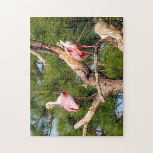 Roseate Spoonbill Jigzaag Puzzle Legpuzzel (Verticaal)