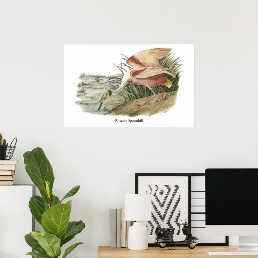 Roseate Spoonbill John Audubon Poster (Thuiskantoor)