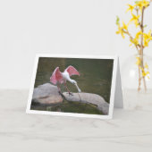 Roseate Spoonbill Kaart (Gele Bloem)