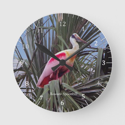 Roseate Spoonbill klok (Voorkant)