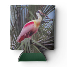 Roseate Spoonbill koelbox