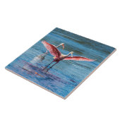 Roseate Spoonbill Large 6-inch X 6-inch foto-Tegel Tegeltje (Zijkant)