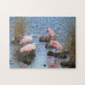 Roseate Spoonbill Legpuzzel (Horizontaal)