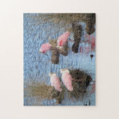 Roseate Spoonbill Legpuzzel (Verticaal)