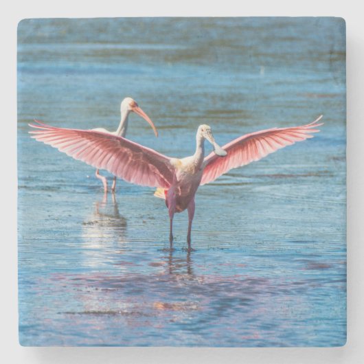 Roseate Spoonbill Marble Stone Onderzetter (Voorkant)