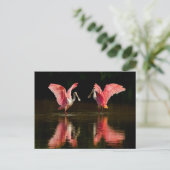 Roseate Spoonbill Mating Dance Briefkaart (Staand voorkant)