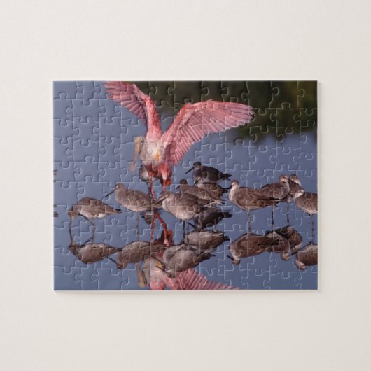 Roseate Spoonbill met Willets in ondiep water Legpuzzel (Horizontaal)