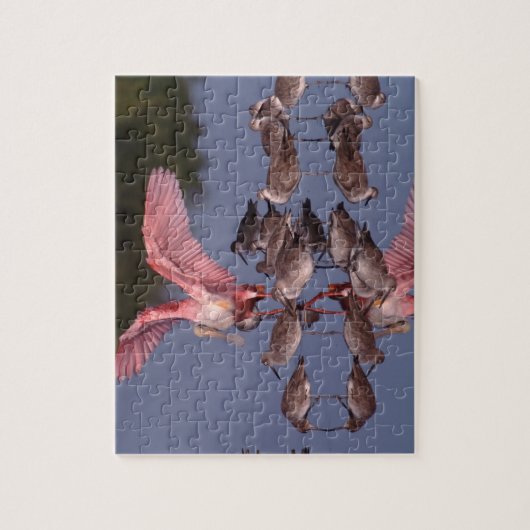 Roseate Spoonbill met Willets in ondiep water Legpuzzel (Verticaal)