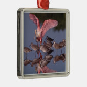 Roseate Spoonbill met Willets in ondiep water Metalen Ornament (Rechts)