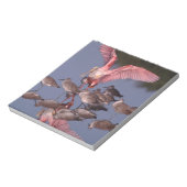 Roseate Spoonbill met Willets in ondiep water Notitieblok (Linkerzijde)