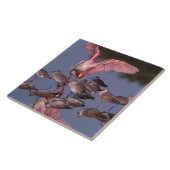 Roseate Spoonbill met Willets in ondiep water Tegeltje (Zijkant)